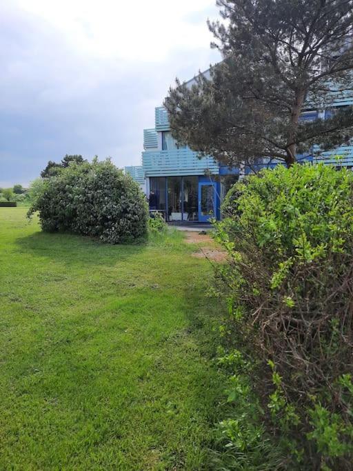 Erdgeschoss-Wohnung Nahe Am Meer Cadzand Zewnętrze zdjęcie